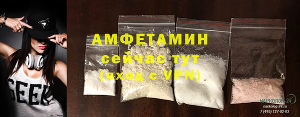 прущие грибы Армянск
