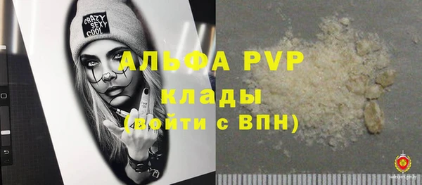 гидра Арсеньев