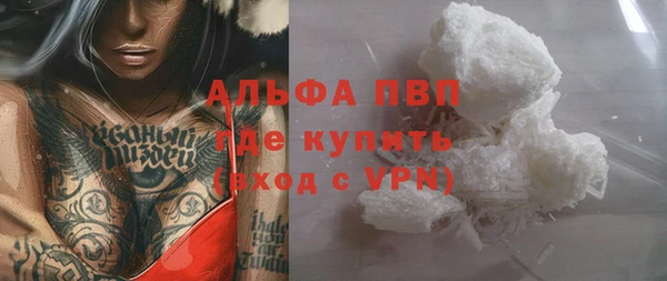 гидра Арсеньев
