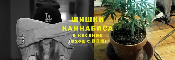 ПСИЛОЦИБИНОВЫЕ ГРИБЫ Аркадак