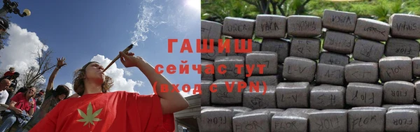 гидра Арсеньев