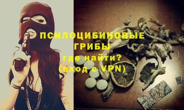 прущие грибы Армянск