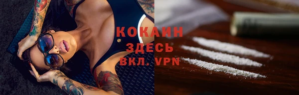 ПСИЛОЦИБИНОВЫЕ ГРИБЫ Аркадак