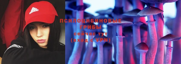 прущие грибы Армянск