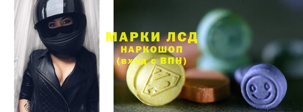 гидра Арсеньев