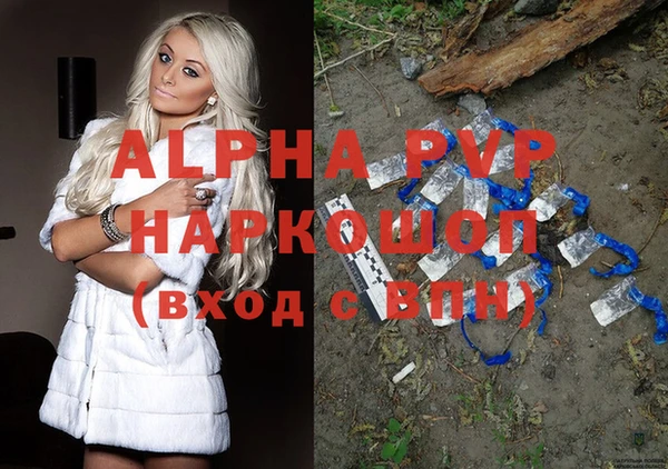 прущие грибы Армянск