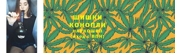 гидра Арсеньев