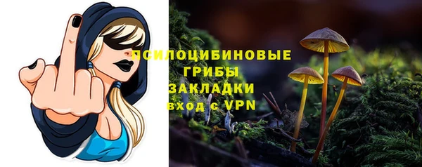 прущие грибы Армянск