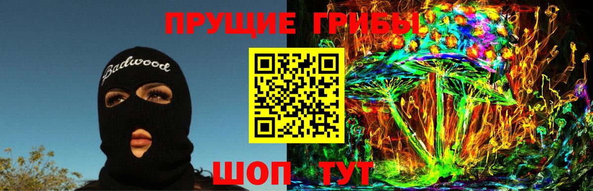 Псилоцибиновые грибы GOLDEN TEACHER  Ангарск  Псилоцибиновые грибы GOLDEN TEACHER 