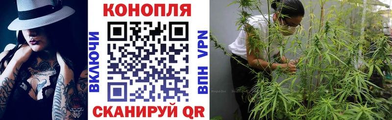 кракен онион  Ангарск  Каннабис планчик 